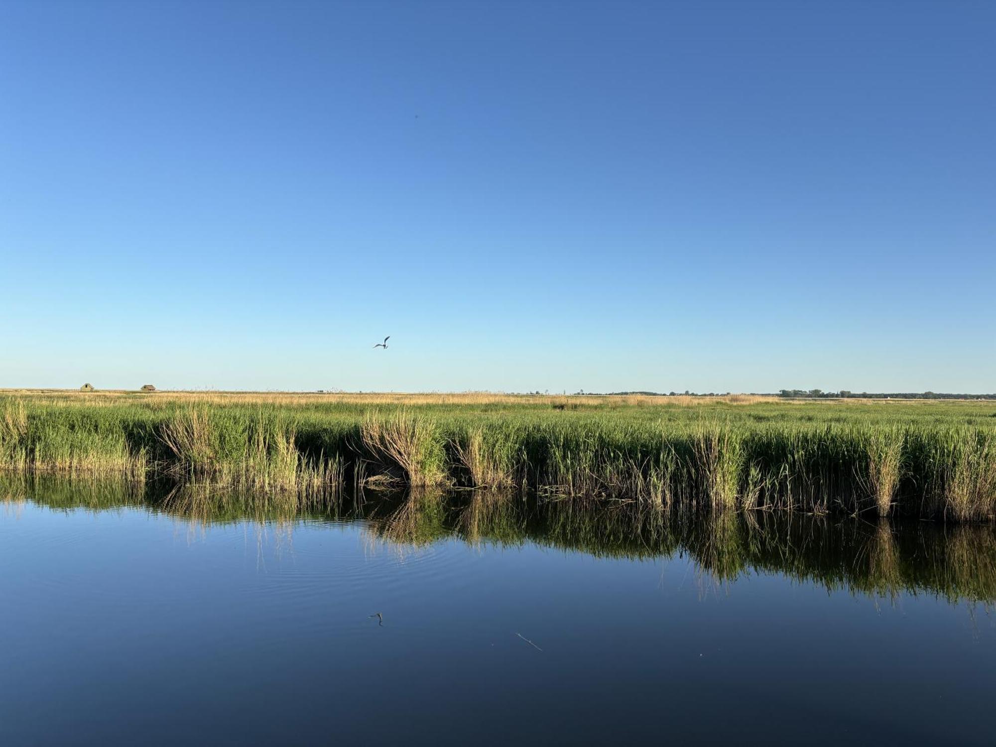 Dom Nad Legami Villa Świnoujście Buitenkant foto